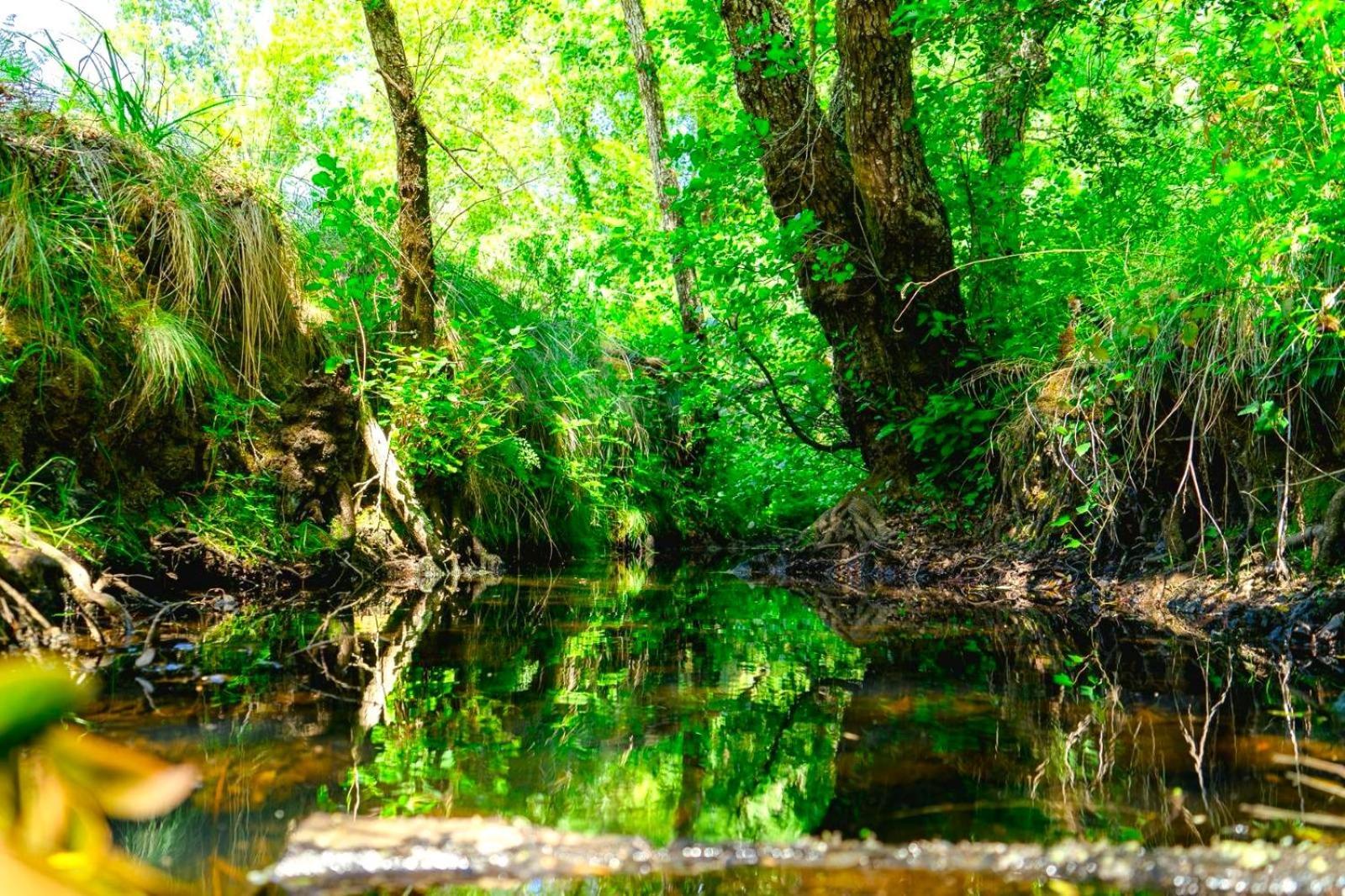 Herdade Vale De Gaios By Stay In Alentejo Сао Луис Екстериор снимка